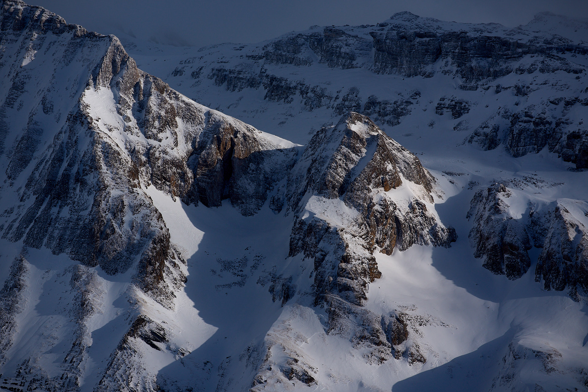 3 Tage - Vogelfotografie in der alpinen Winterlandschaft des Wallis