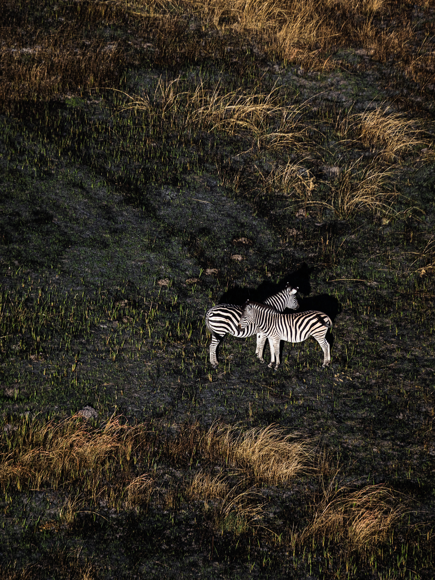 Tagesworkshop im Zoo Zürich Tagesworkshop im Zoo Zürich