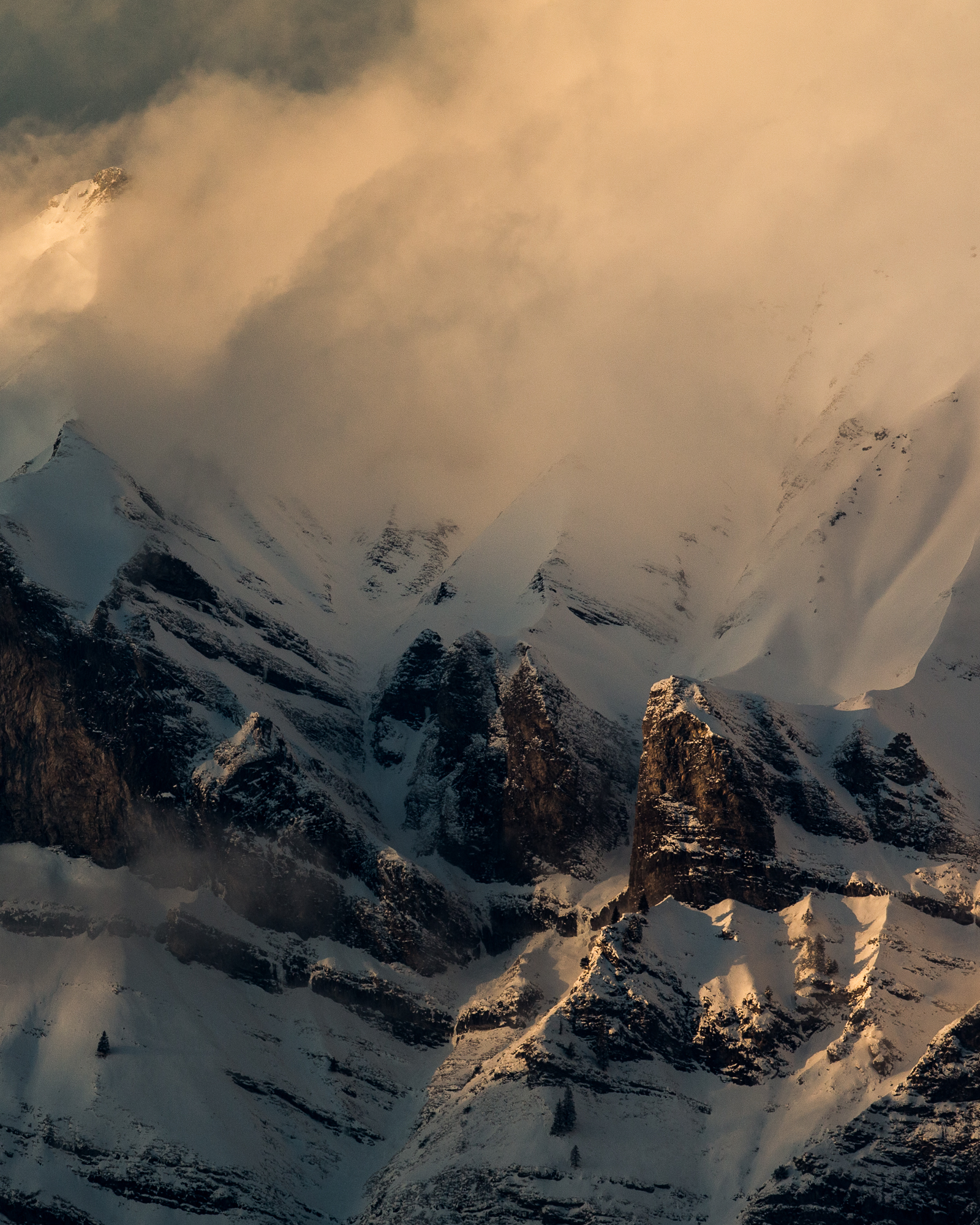 12 Abende: Grundlagen, Bildaufbau, Nachtfotografie, Naturfotografie, Portraits und Bildbearbeitung 12 Abende: Grundlagen, Bildaufbau, Nachtfotografie, Naturfotografie, Portraits und Bildbearbeitung