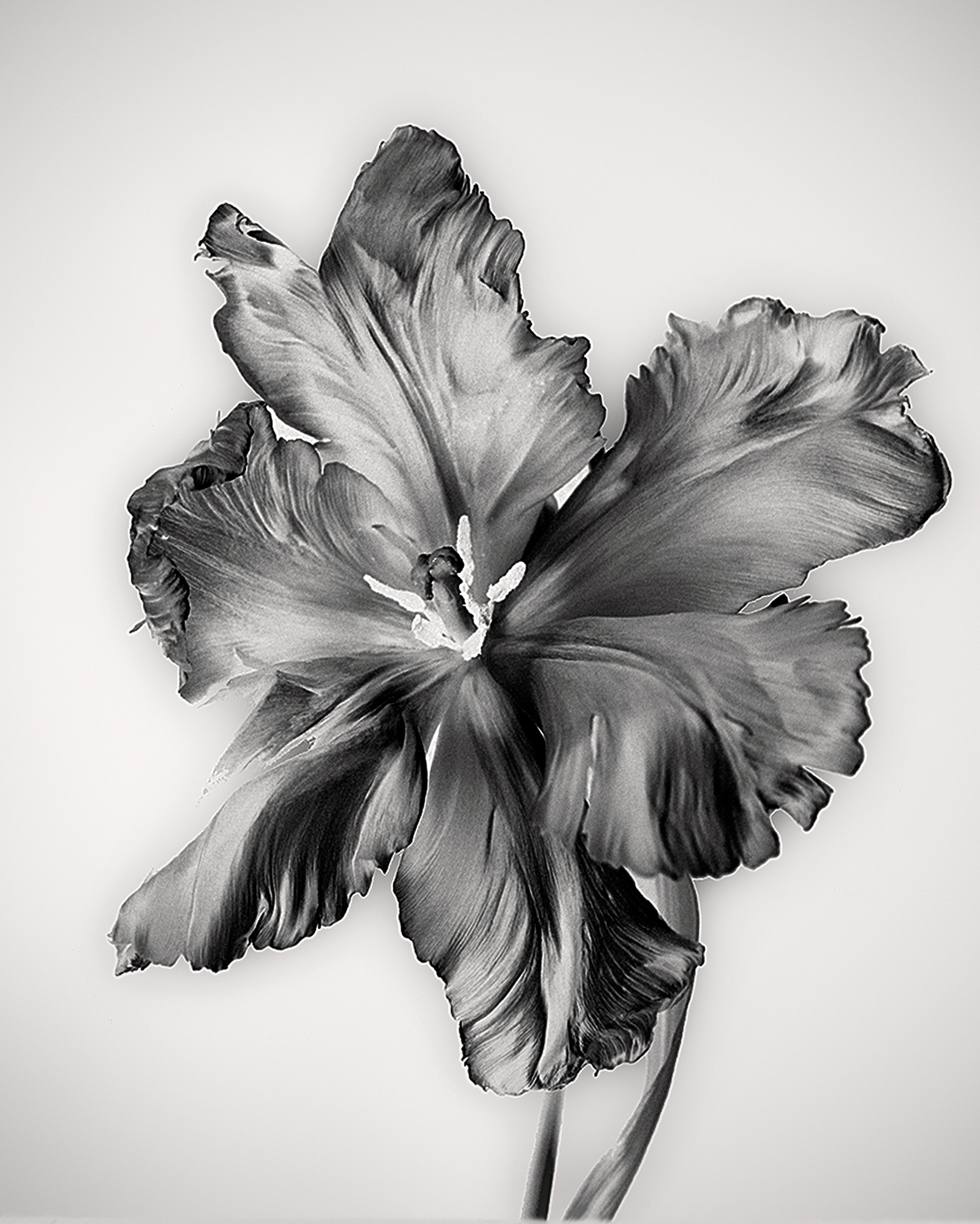 Von der analogen Filmentwicklung bis zum Fotoabzug Von der analogen Filmentwicklung bis zum Fotoabzug