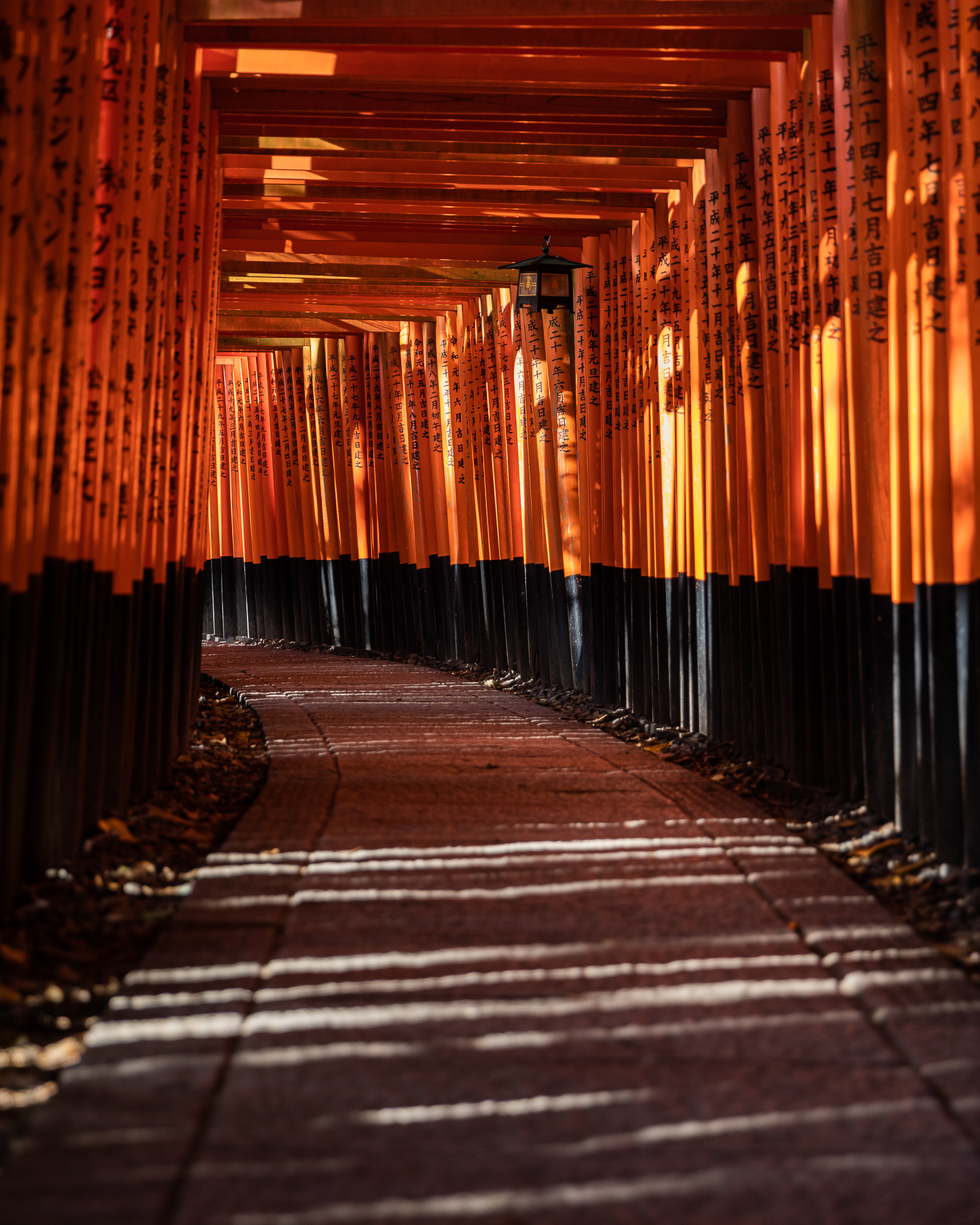 Ein Fotoworkshop im Land der aufgehenden Sonne Ein Fotoworkshop im Land der aufgehenden Sonne